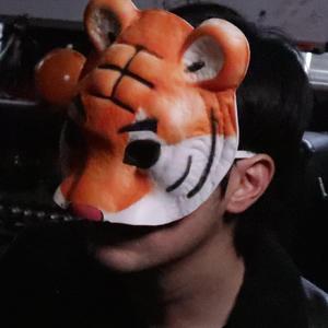 案例自动化小鲤导航
