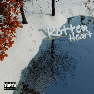 案例自动化小鲤导航
