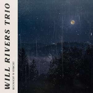 案例自动化小鲤导航
